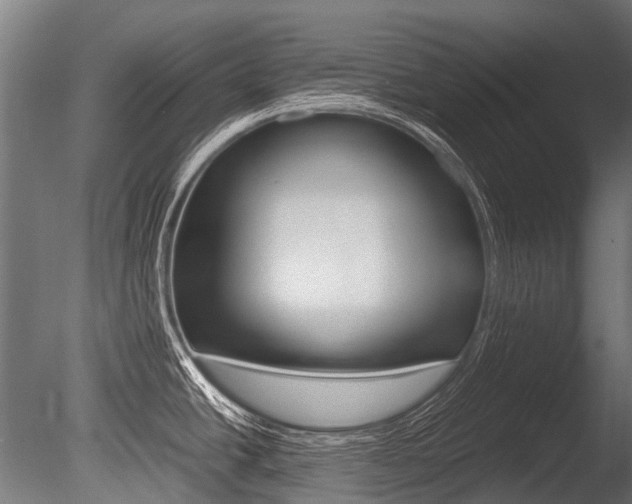 X0000086041438200703230842