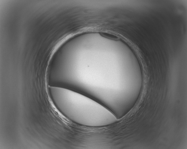 X0000086041440200703230842