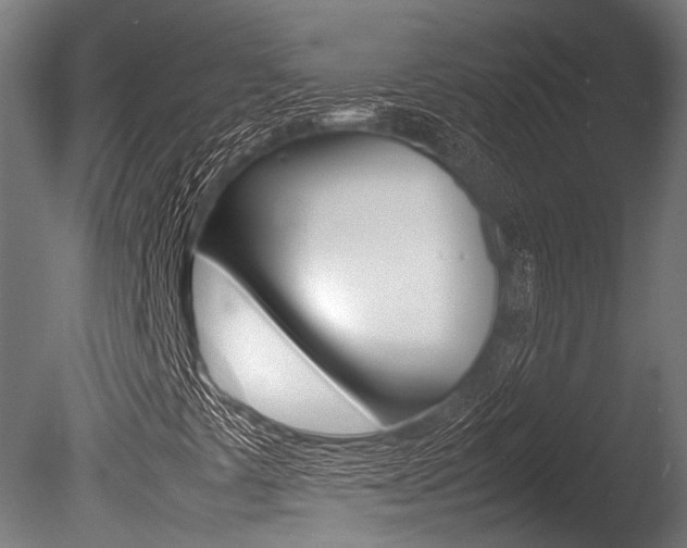X0000086041441200703230842