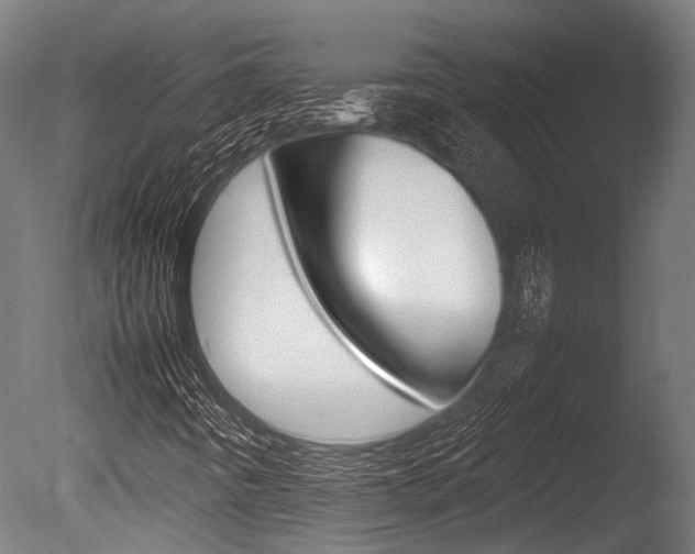 X0000086041442200703230841
