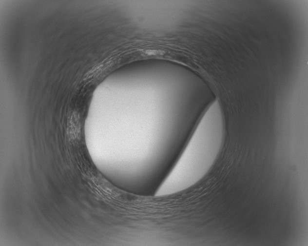 X0000086041443200703230841