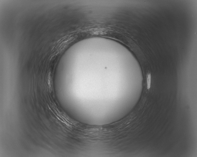 X0000086041444200703230841
