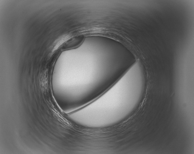X0000086041450200703230841
