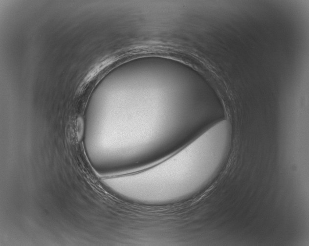 X0000086041453200703230841