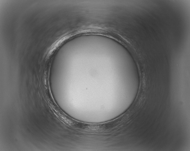 X0000086041455200703230841