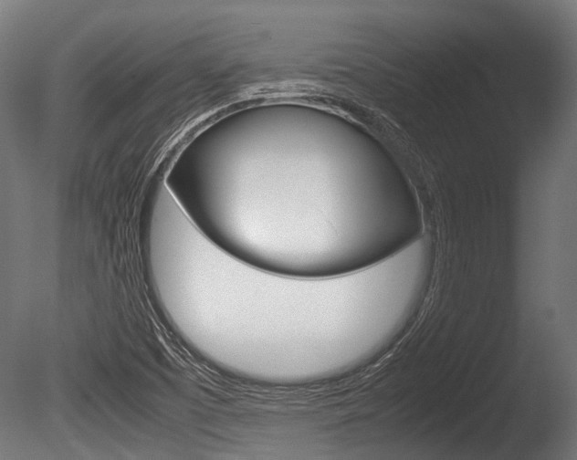 X0000086041457200703230841