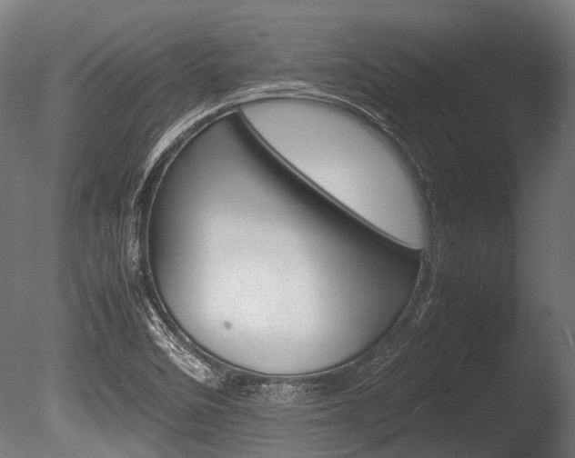 X0000086041458200703230841