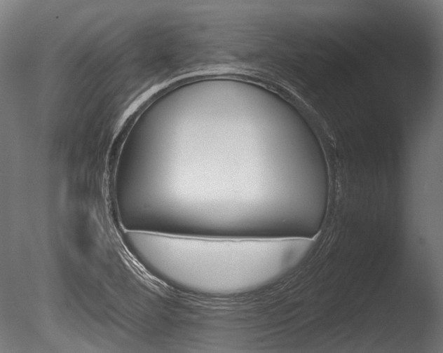 X0000086041460200703230841