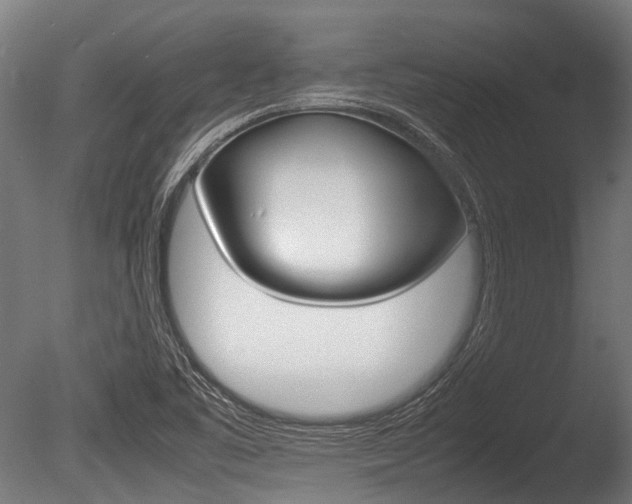 X0000086041461200703230841