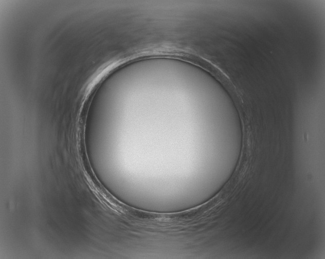 X0000086041463200703230841