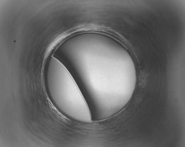 X0000086041464200703230841
