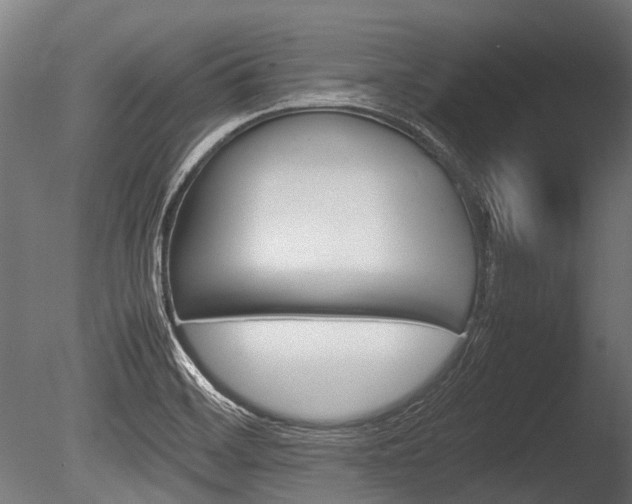 X0000086041468200703230841