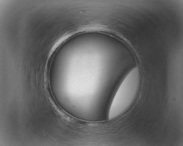 X0000086041469200703230841