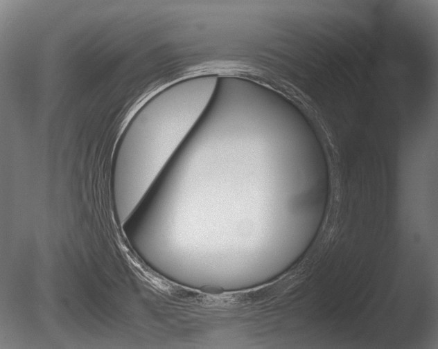 X0000086041473200703230841