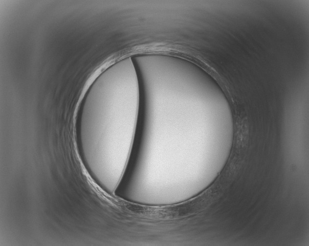 X0000086041475200703230841
