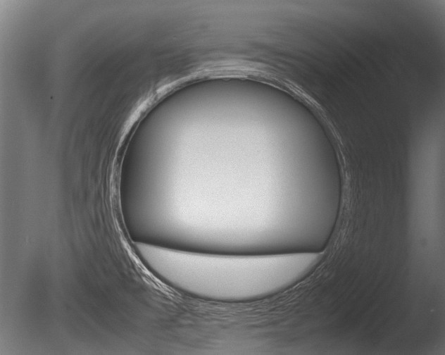 X0000086041477200703230841