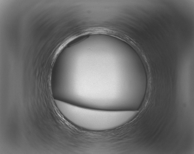 X0000086041481200703230841