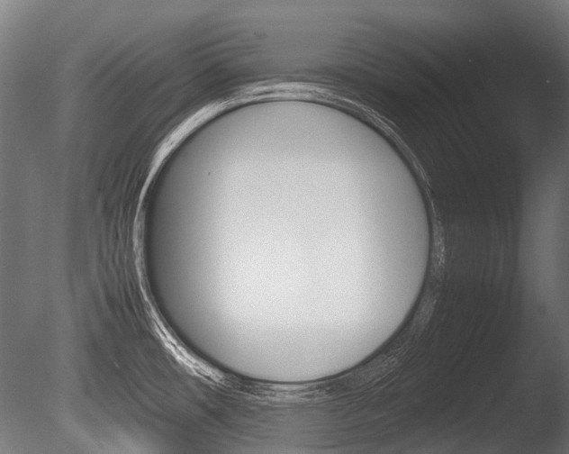 X0000086041482200703230841