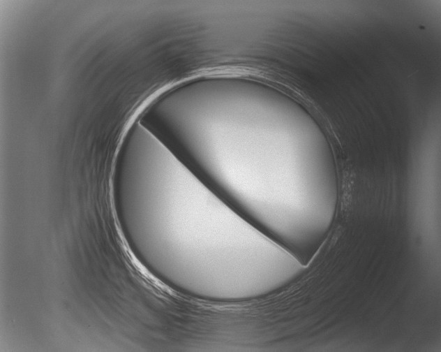 X0000086041484200703230841
