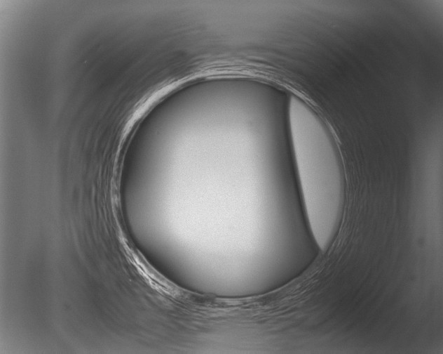 X0000086041485200703230841