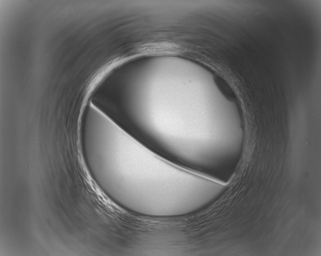 X0000086041488200703230841
