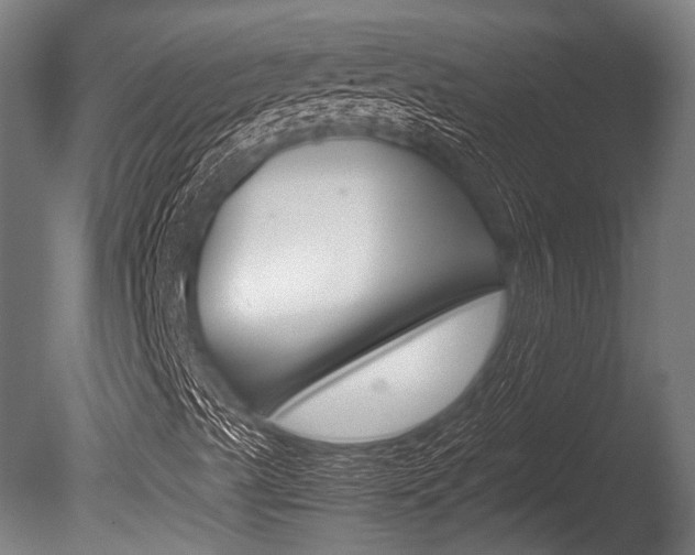 X0000086041489200703230840