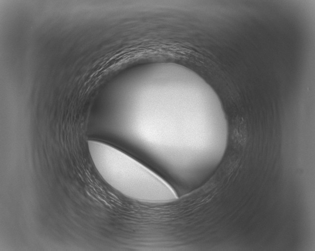 X0000086041490200703230840