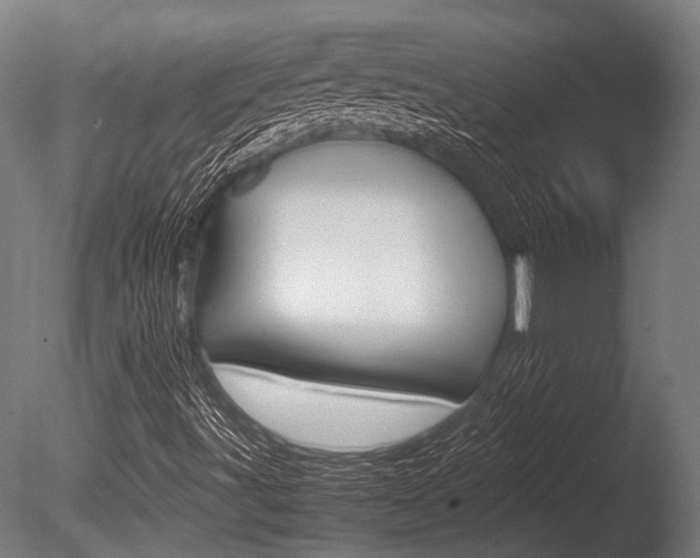 X0000086041491200703230840