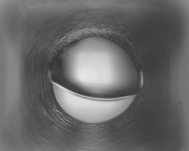 X0000086041492200703230840