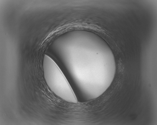 X0000086041494200703230840
