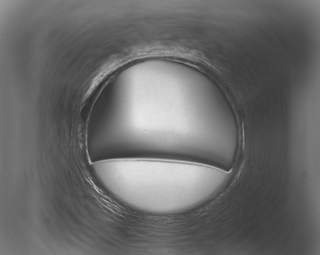 X0000086041501200703230840