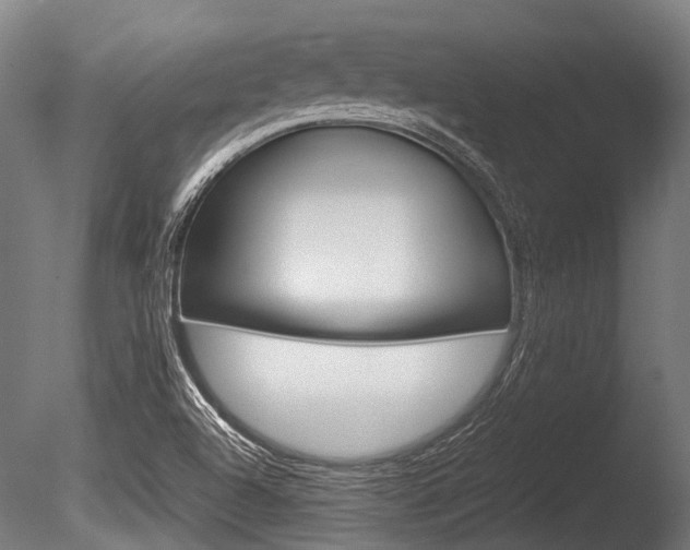 X0000086041504200703230840