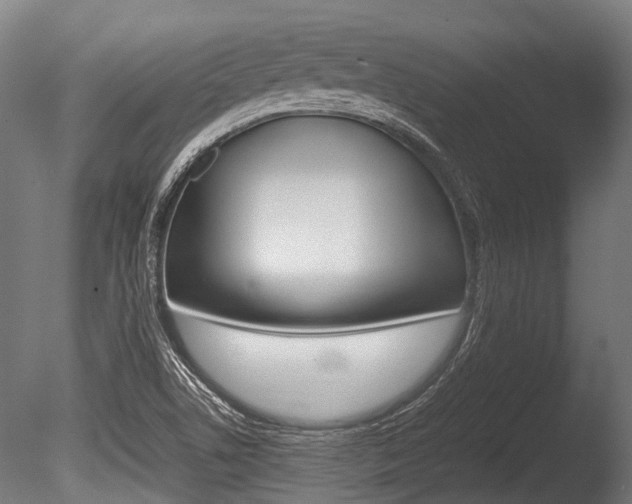 X0000086041506200703230840