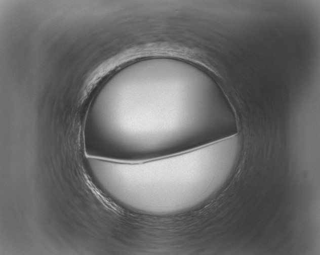 X0000086041507200703230840
