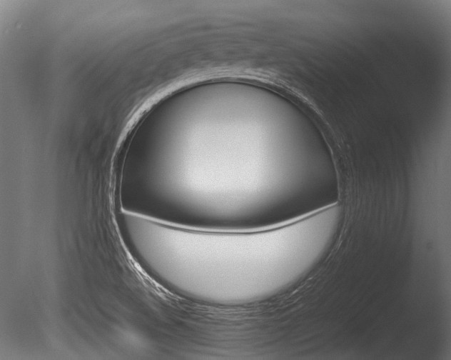 X0000086041508200703230840