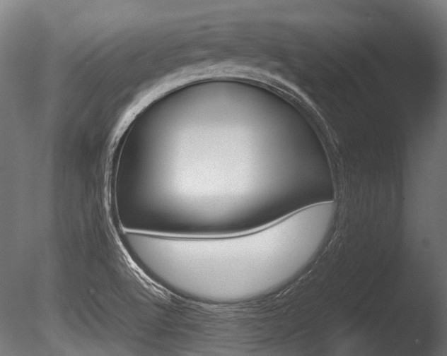 X0000086041512200703230840