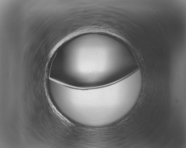 X0000086041518200703230840