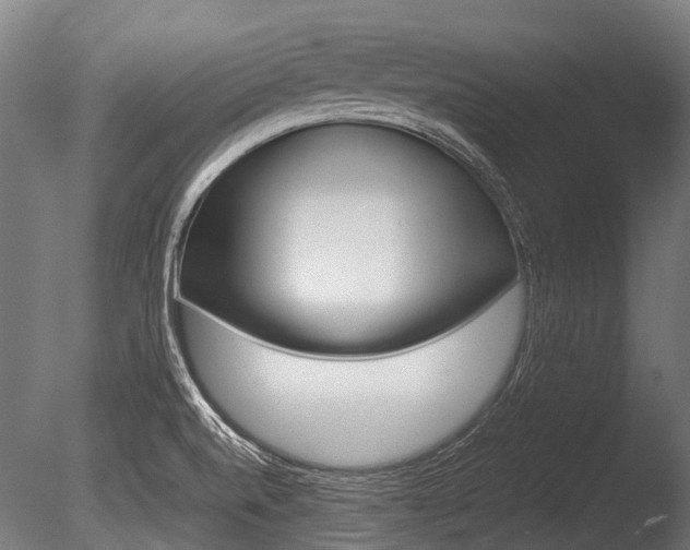 X0000086041520200703230840