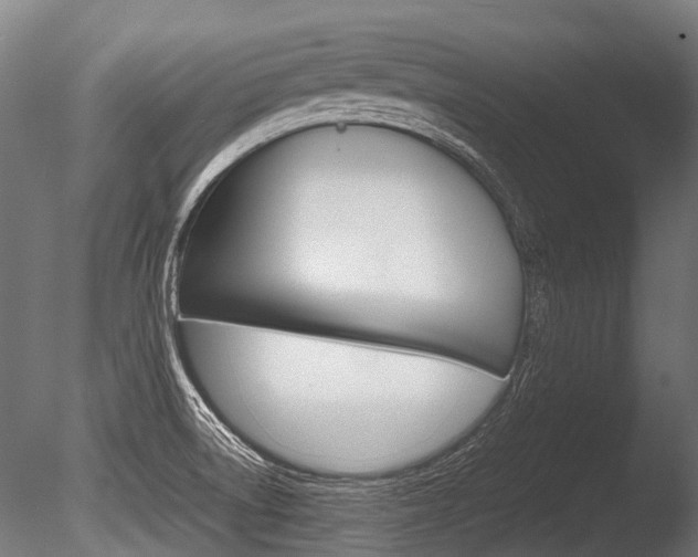 X0000086041522200703230840