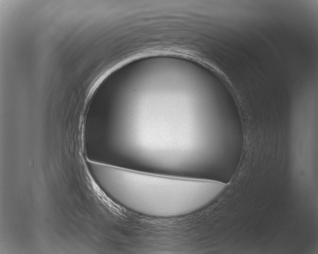 X0000086041524200703230840