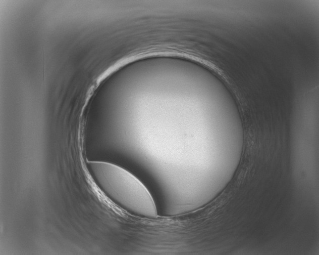 X0000086041526200703230841