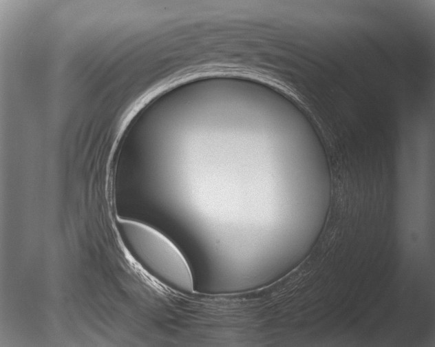 X0000086041527200703230841