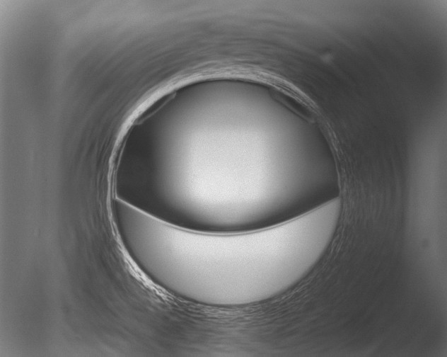 X0000086041528200703230841