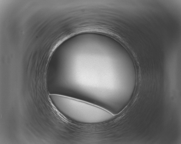 X0000086041529200703230841