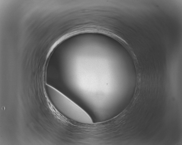 X0000086041530200703230841