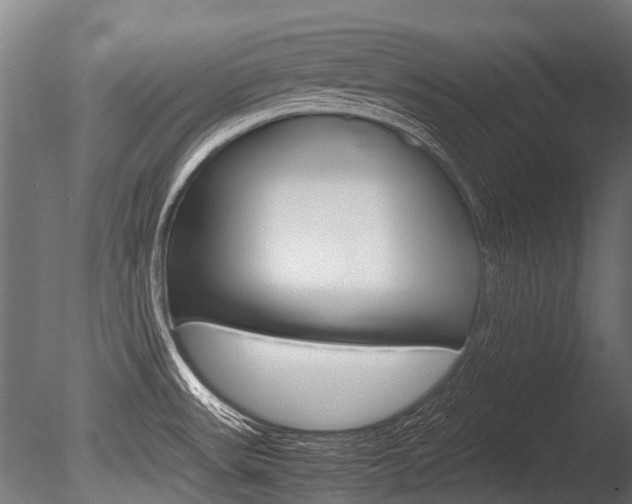 X0000086041531200703230841
