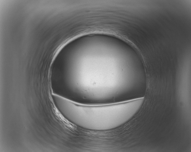 X0000086041532200703230841