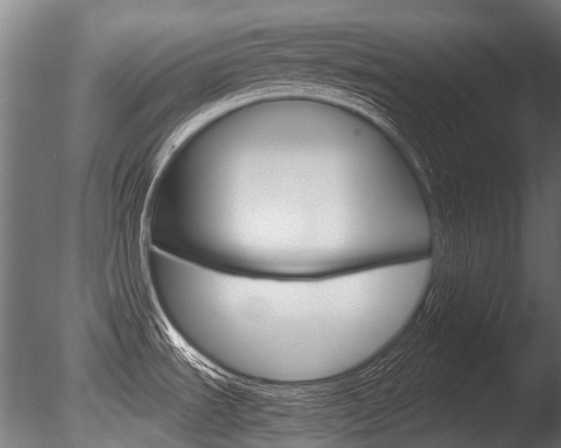 X0000086041535200703230841