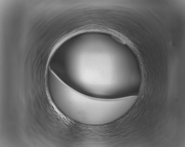 X0000086041536200703230841