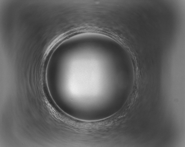 X0000086040007200703231253
